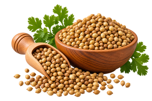 Coriander